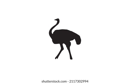 Strauß, Vektorgrafik-Design schwarz-weiß