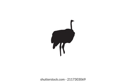ostrich vector illustration design black and white