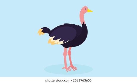 Ilustración vectorial de avestruz en estilo plano. Lindo pájaro aislado sobre fondo azul.