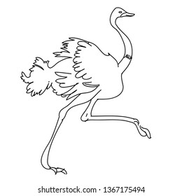 Ostrich vector illustration. Vector hand drawn illustrations isolated on background. Ostrich running illustration for prints, textile,fabric, vector clothes