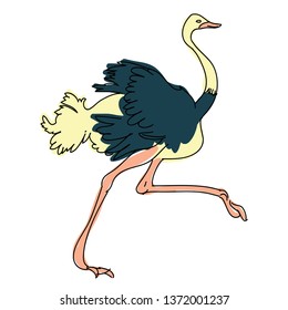 Ostrich vector illustration. Vector hand drawn illustrations isolated on background. Ostrich running illustration for prints, textile,fabric, vector clothes
