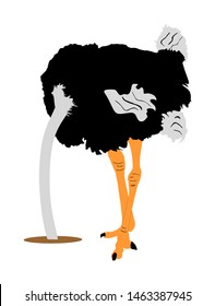 Ostrich vector illustration isolated on white background. Cartoon character. Big bird from Africa. Ostrich with hand in sand. Stressful situation. Bad economy, worst case scenario, disappointment bird