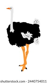 Ostrich vector illustration isolated on white background. Cartoon character. Big bird from Africa.