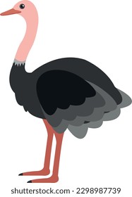 ostrich Vector illustration on a transparent background. Premium quality symbols.  Icons for concept and graphic design.