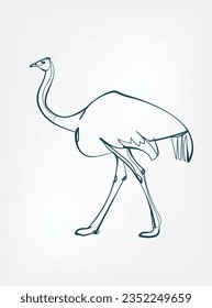 ostrich vector line art animal wild life single one line hand drawn illustration isolated