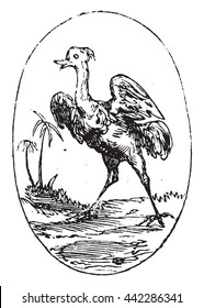 At the Ostrich, vintage engraved illustration. Magasin Pittoresque 1852.
