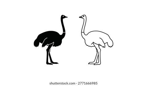 Ostrich Vs Emu Comparison Silhouette Design Vector