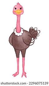 Ostrich . Watercolor paint design . Cute animal cartoon character . Standing gesture . Vector .