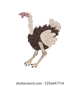 Ostrich Wild Exotic African Bird Vector Illustration