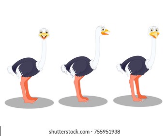 Ostriches - Cartoon Vector Image