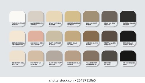 Ostriches Color Palette. Ostriches color Tone Swatch Chart with HEX Codes and Color Names. Ostrich Plumage and Body Colors Tones Variants. Habitat and Camouflage Tones colure Palette. Skin Accents