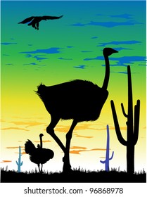 Ostriches in the steppe and eagle in the sky in South America