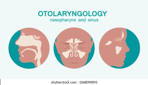 Iconos otolaringológicos - nasofarynx y sinussis - ilustración vectorial