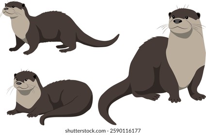 Otter in different Positions Isolated aquatic mammal animal illustration style