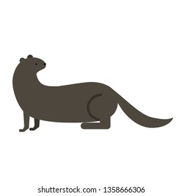 otter flat illustration on white