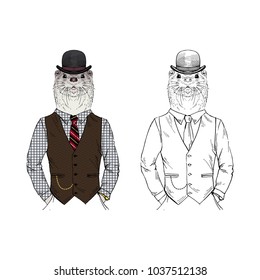 otter gentleman, anthropomorphic animal illustration