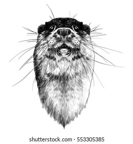 otter head vector black and white sketch