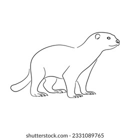 Otter illustration in doodle style. Vector isolated on a white background. 