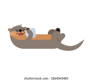 Otter isolated. Sea otter swims. vector illustration