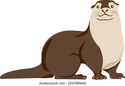 Otter looking at us, vector