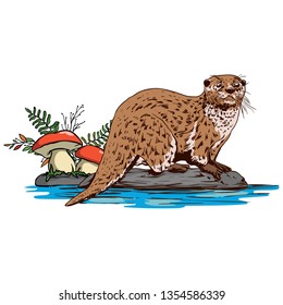 Otter and mushrooms Illustration vector