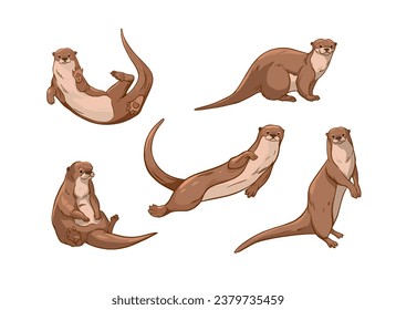 Otter set of vector illustrations