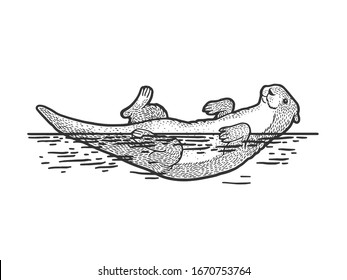 Otter is swimming on its back sketch engraving vector illustration. T-shirt apparel print design. Scratch board imitation. Black and white hand drawn image.