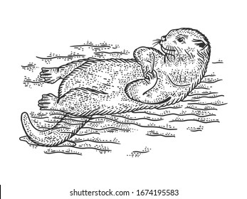 Otter is swimming on its back sketch engraving vector illustration. T-shirt apparel print design. Scratch board imitation. Black and white hand drawn image.