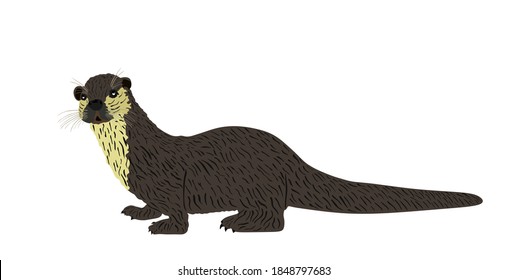 Otter vector illustration isolated on white background. River animal symbol.