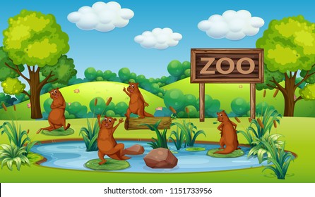 Otter at the zoo illustration