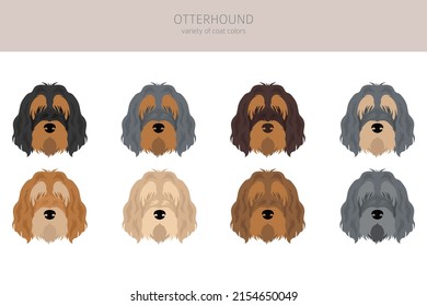 Otterhound clipart. Different poses, coat colors set.  Vector illustration