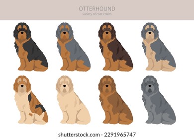 Otterhound clipart. Different poses, coat colors set.  Vector illustration