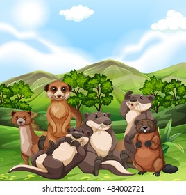 Otters and beavers in the field illustration