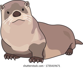 
Otters are good swimmers that live on the water.