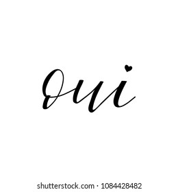 Oui hand lettering. Yes phrase in French. Ink illustration. Modern brush calligraphy. Isolated on white background.