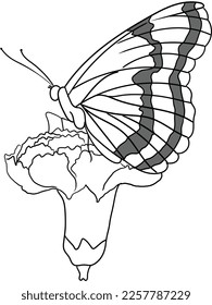 Our elegant black and white butterfly and flower illustrations feature delicate details that create timeless and sophisticated artwork. Perfect for home decor, stationery, and invitations.