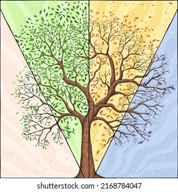 Our Seasons Trees Clipart And Vector With Spring, Summer, Fall And Winter Trees