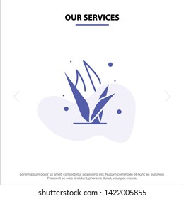 Our Services Grass, Grasses, Green, Spring Solid Glyph Icon Web card Template