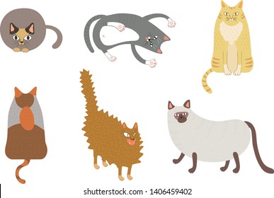 Our strange and mysterious cat-friend vector