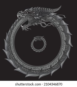 Ouroboros, eating his tail, a symbol of infinity, eternal cycle, unity of opposites, at each end corresponds to a new beginning. Eternal repetition. In alchemy there is a closed and cyclical process. 