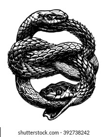 The ouroboros (or uroboros), vector illustration