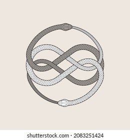 Ouroboros symbol. Two entwined snakes, serpent eating its own tale. Detailed vector illustration, EPS 10