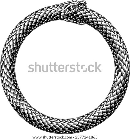 An ouroboros or uroboros serpent snake consuming its own tail circle in a vintage woodcut style
