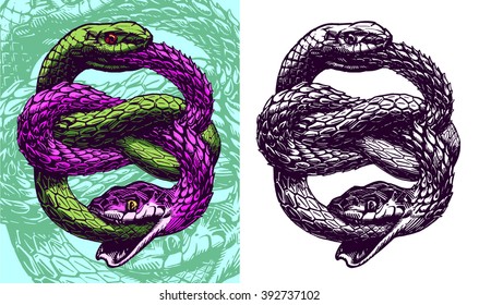 Ouroboros, vector illustration