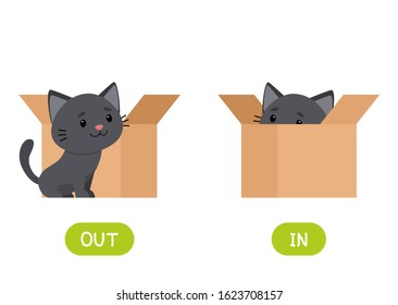 In and out antonyms word card flat vector template. Flashcard for english language learning. Opposites concept. Kitten in box and outside cartoon illustration with typography