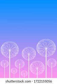 Out of bloom dandelions. Vector illustration background for mobile, diary, card, invitation, poster and print design projects. White dandelion on a blue-pink background.