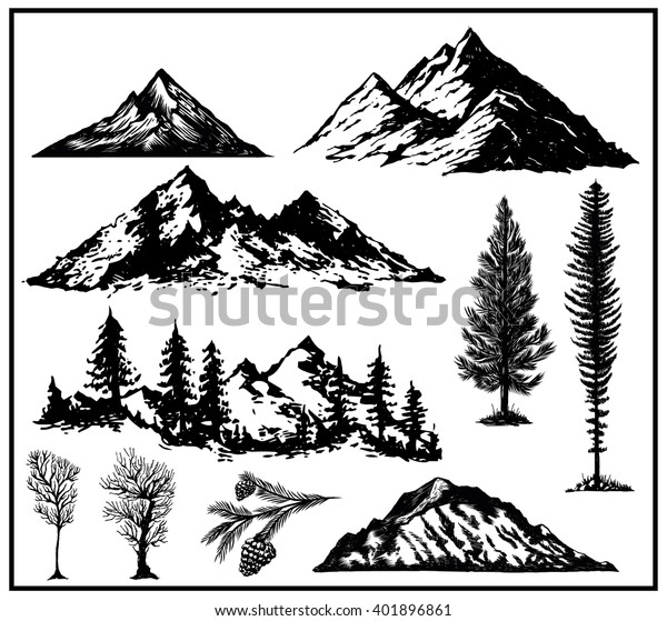 自然の松は山の頂に生える白黒のベクターイラストボード のベクター画像素材 ロイヤリティフリー