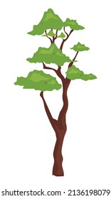 Outdoor bonsai plant semi flat color vector object. Full sized item on white. Park and forest. Element of nature preserve simple cartoon style illustration for web graphic design and animation