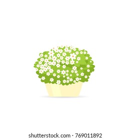 outdoor garden potted bloom plant. Vector illustration isolated on white background