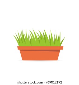 outdoor garden potted bloom plant. Vector illustration isolated on white background
